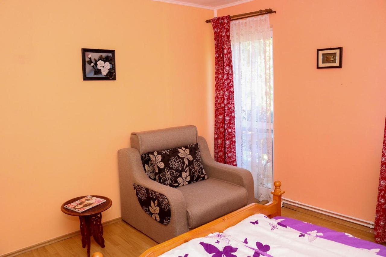 Apartament Iulia Geoagiu Bai Exterior photo