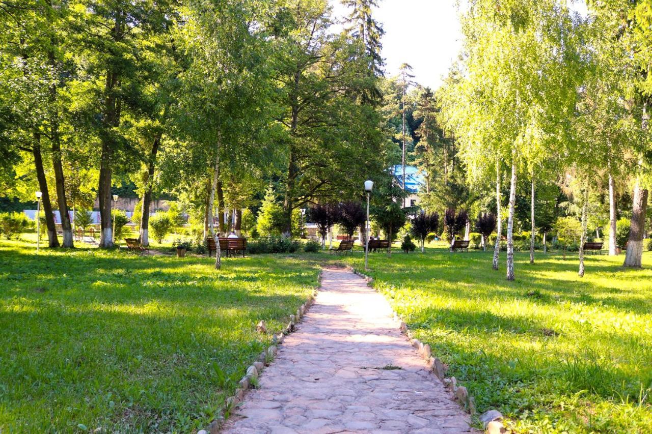 Apartament Iulia Geoagiu Bai Exterior photo