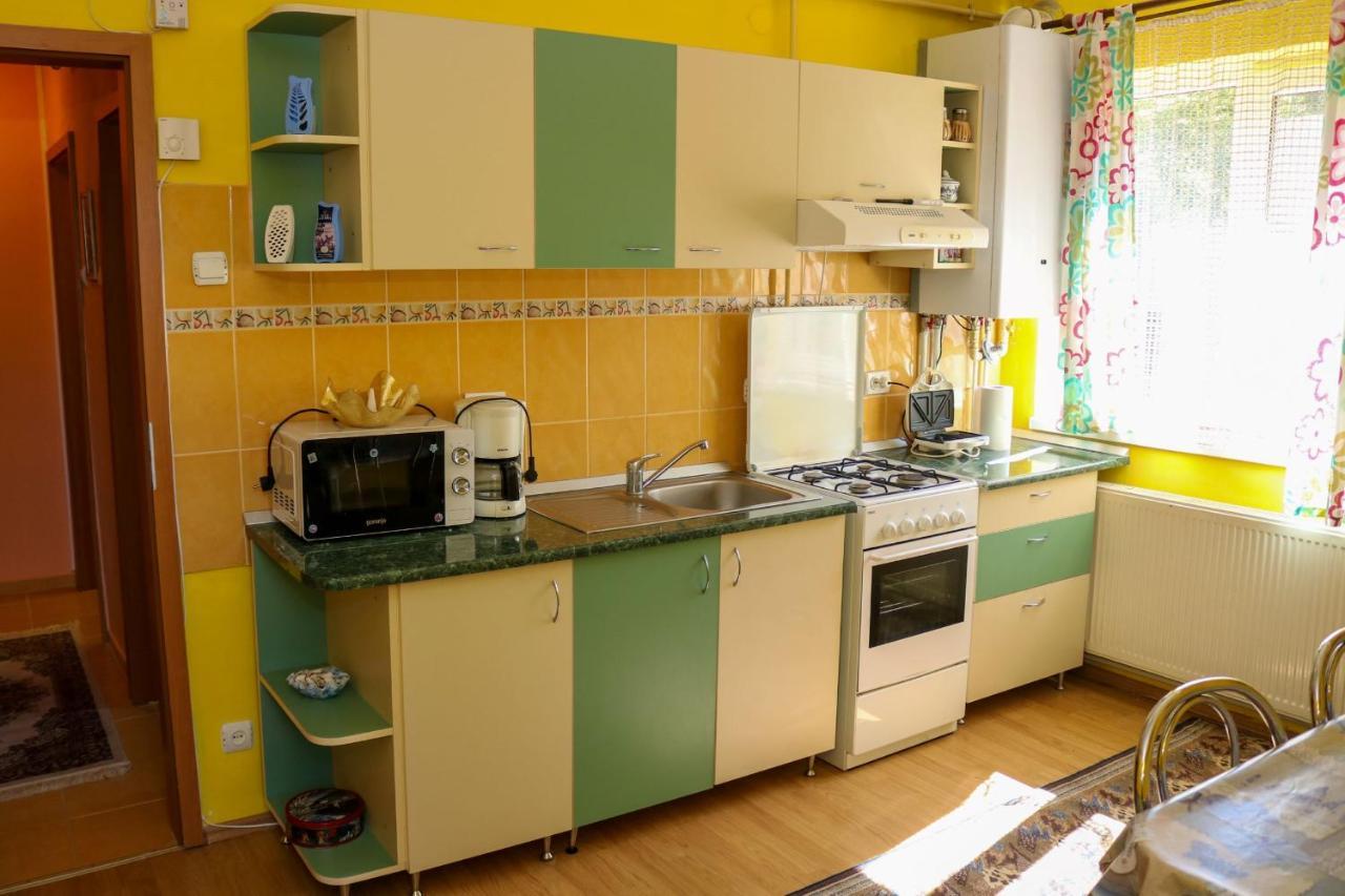 Apartament Iulia Geoagiu Bai Exterior photo